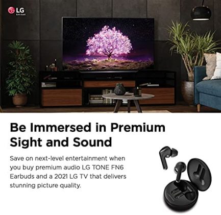 LG OLED65C1PUB Alexa Constructed-in C1 Sequence 65" 4K Sensible OLED TV (2021) 5