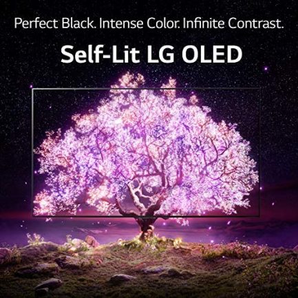 LG OLED55A1PUA Alexa Constructed-in A1 Collection 55" 4K Sensible OLED TV (2021) 6