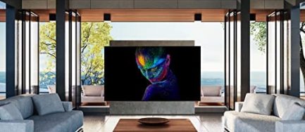 Samsung QN65S95BAFXZA 65" Quantum OLED HDR UHD 4K Smart TV with an Additional 1 Year Coverage by Epic Protect (2022) 8