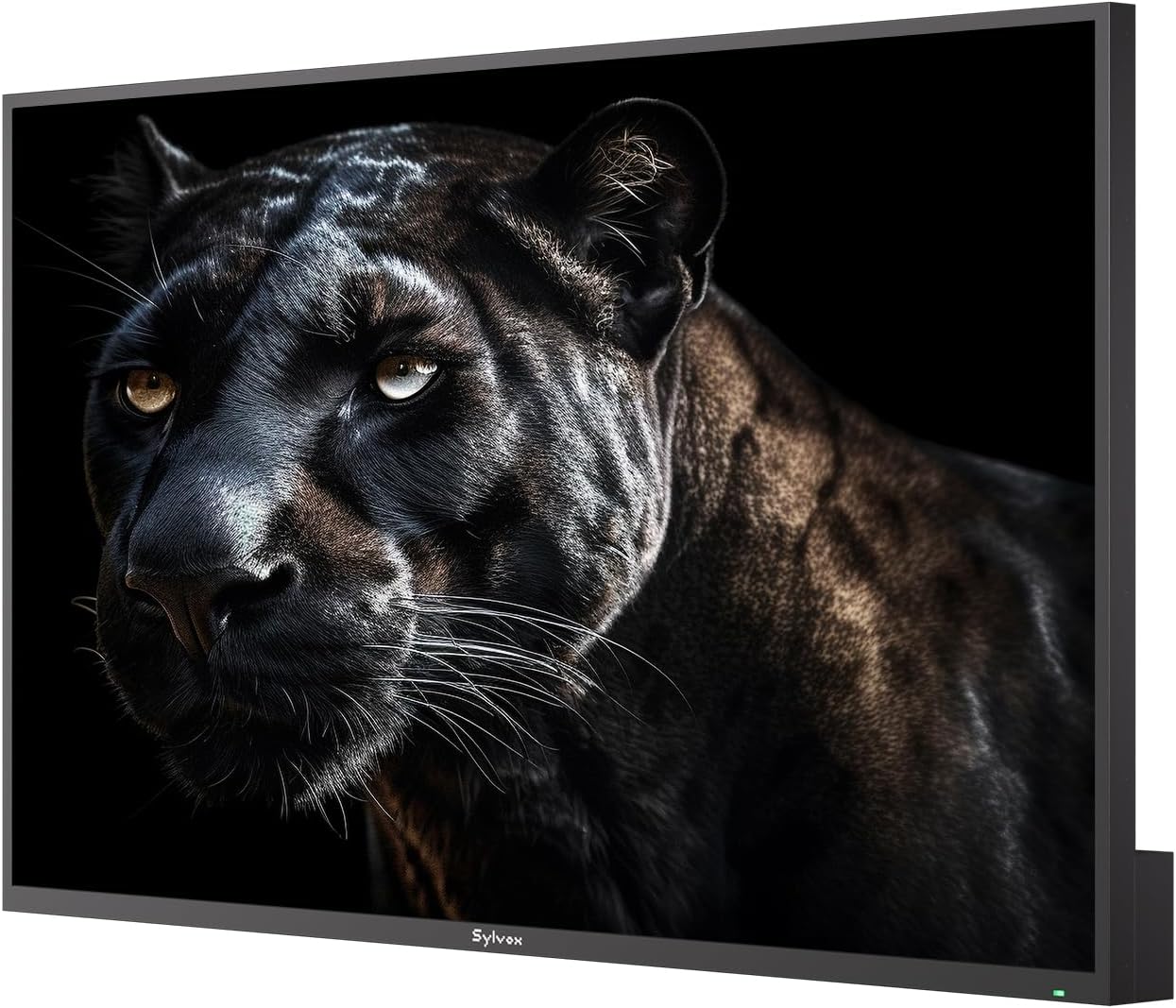 SYLVOX 75 inch Outdoor Mini-LED QLED TV, 4K Ultra HD Smart Google TVs, 2000 Nits Full Sun, Anti-Glare Screen, 120Hz Refresh Rate, IP55 Waterproof, Dual 30W Dolby Atmos Speaks (Cinema/2025) - Image 2